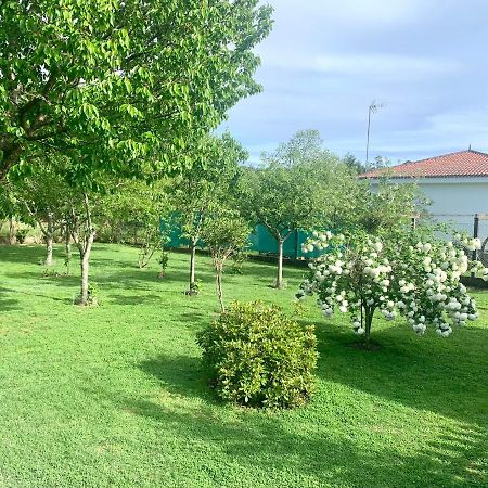 OrtonoA Casa Vermella Con Jardin A 10 Minutos De Santiago De Compostelaアパートメント エクステリア 写真
