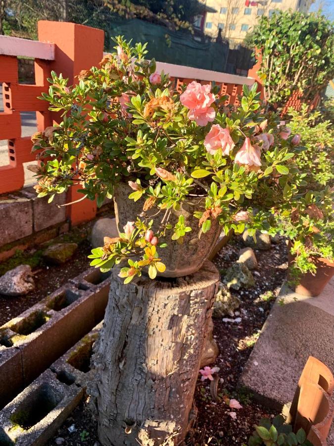 OrtonoA Casa Vermella Con Jardin A 10 Minutos De Santiago De Compostelaアパートメント エクステリア 写真